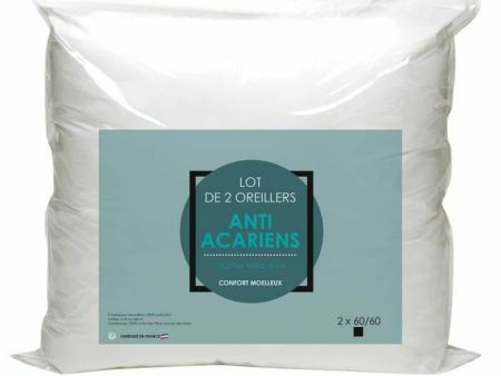 Pillow 60 x 60 cm (2 Units) Supply