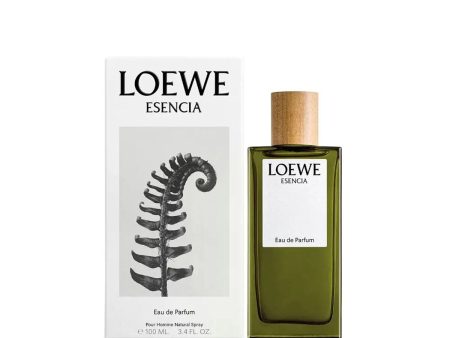 Men s Perfume Loewe Esencia EDP 150 ml Sale